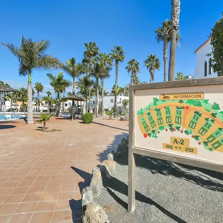 Amelia Oasis Dunas -corralejo-