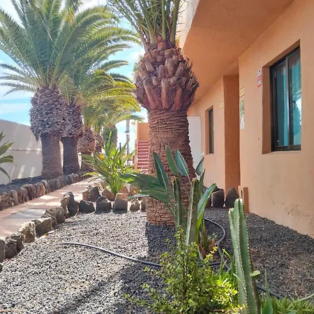 Amelia Oasis Dunas -corralejo- *